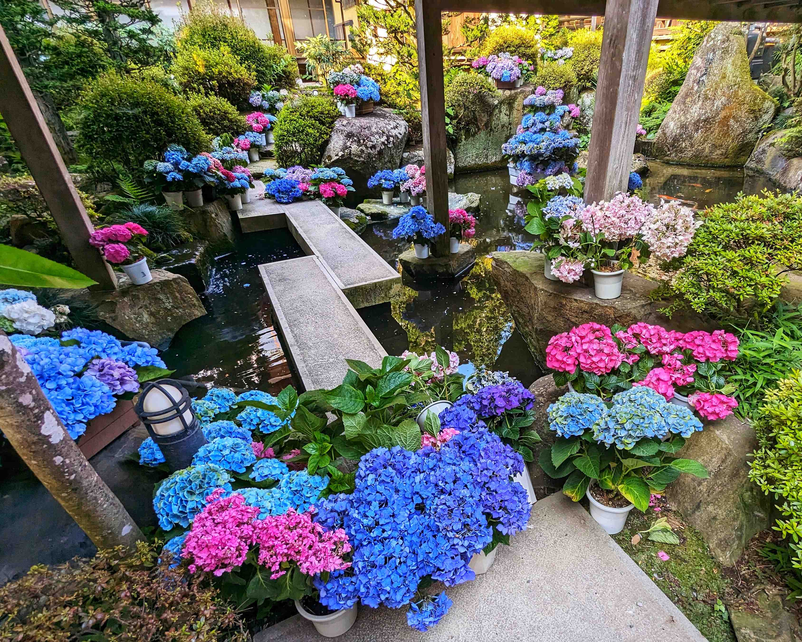 ⛩️ 아마비키 관음(아마비키산 라쿠호지) 이미지 6